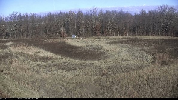 Cell 4_23-12-27_13-18-11-60