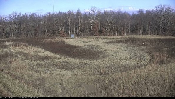 Cell 4_23-12-27_13-51-42-62