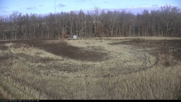 Cell 4_23-12-27_14-25-11-60