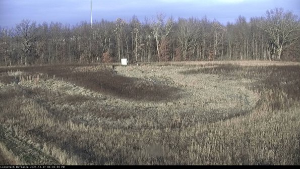 Cell 4_23-12-27_16-05-39-63