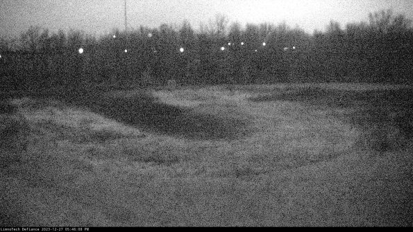 Cell 4_23-12-27_17-46-08-61