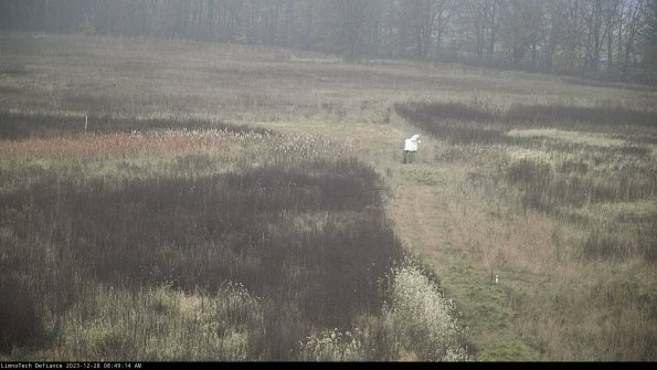 Cell 1 to 2_23-12-28_08-49-14-63