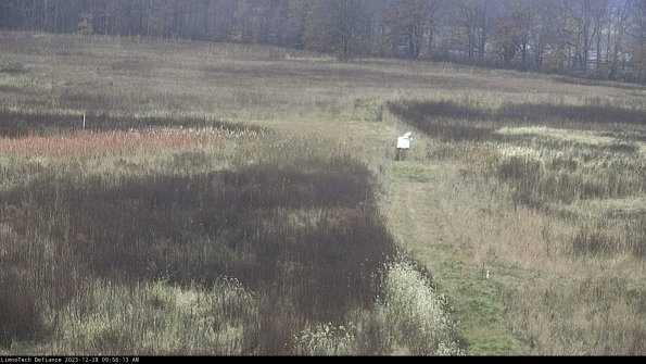 Cell 1 to 2_23-12-28_09-56-13-62