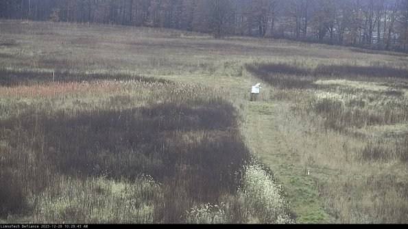 Cell 1 to 2_23-12-28_10-29-43-64