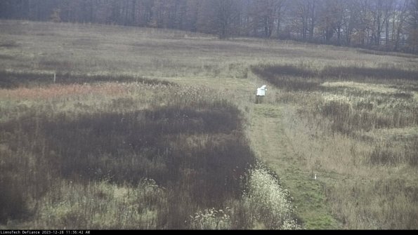 Cell 1 to 2_23-12-28_11-36-42-61