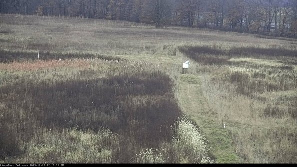 Cell 1 to 2_23-12-28_12-10-11-59