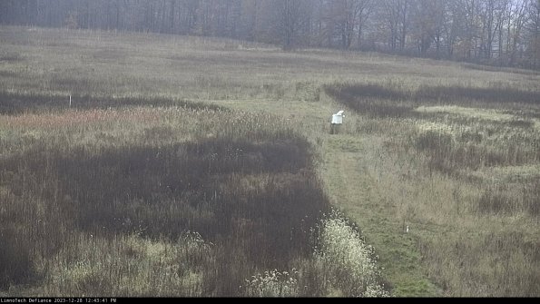 Cell 1 to 2_23-12-28_12-43-41-61