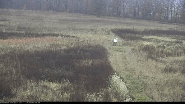 Cell 1 to 2_23-12-28_13-17-11-62