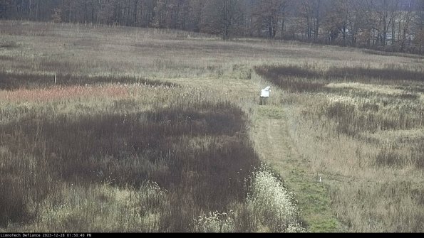 Cell 1 to 2_23-12-28_13-50-40-60