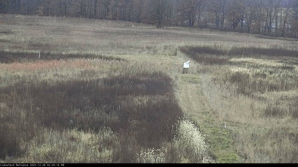 Cell 1 to 2_23-12-28_14-24-10-59