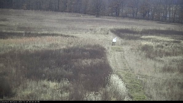 Cell 1 to 2_23-12-28_16-04-38-60