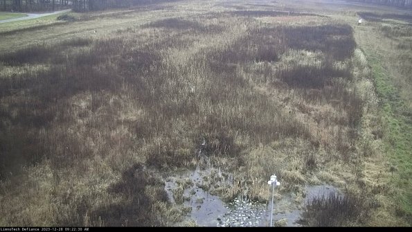 Cell 1_23-12-28_09-22-30-60