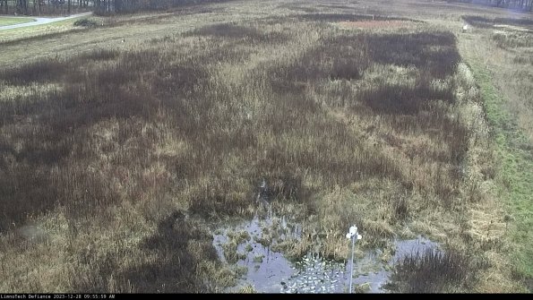 Cell 1_23-12-28_09-55-59-61