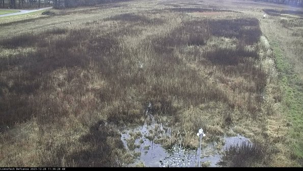 Cell 1_23-12-28_11-36-28-59