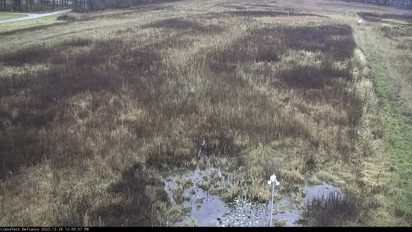 Cell 1_23-12-28_12-09-57-61