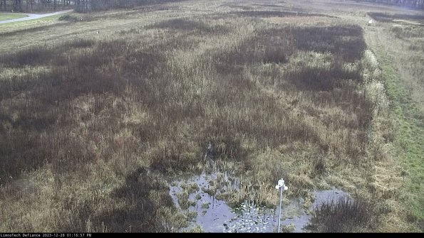 Cell 1_23-12-28_13-16-57-61