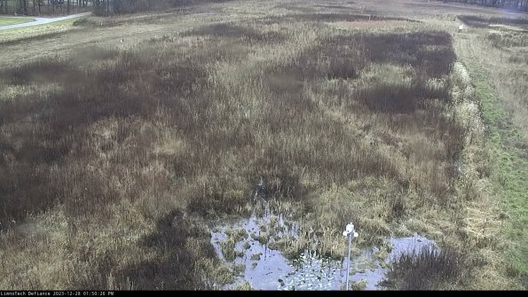 Cell 1_23-12-28_13-50-26-62