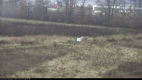 Cell 2 to 3_23-12-28_12-44-07-80