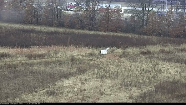 Cell 2 to 3_23-12-28_13-51-06-76