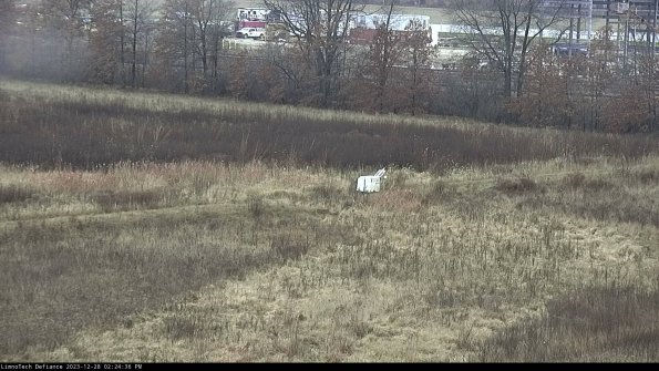 Cell 2 to 3_23-12-28_14-24-36-78