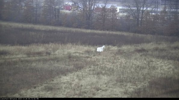 Cell 2 to 3_23-12-28_17-12-02-72