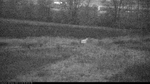 Cell 2 to 3_23-12-28_17-45-33-77