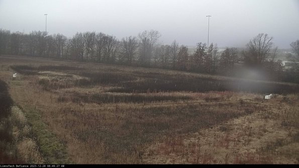 Cell 2_23-12-28_08-49-27-64