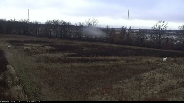 Cell 2_23-12-28_10-29-56-66