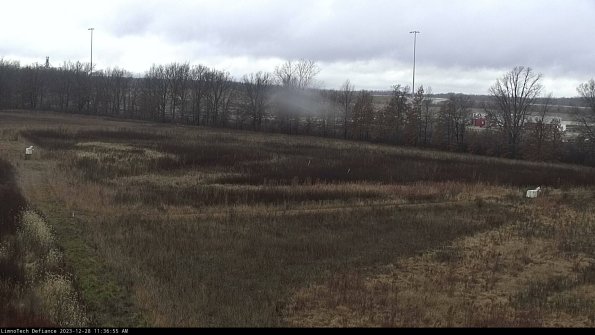 Cell 2_23-12-28_11-36-55-65