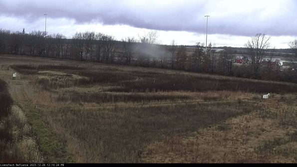 Cell 2_23-12-28_12-10-24-64