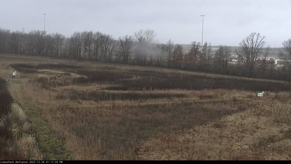 Cell 2_23-12-28_13-17-24-63