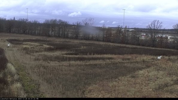 Cell 2_23-12-28_15-31-22-63