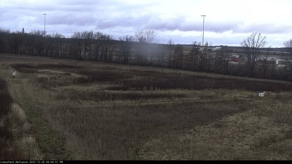 Cell 2_23-12-28_16-04-51-65