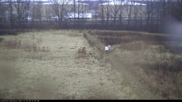 Cell 3 to 4_23-12-28_08-16-39-60