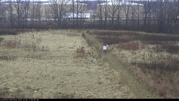 Cell 3 to 4_23-12-28_11-04-08-61