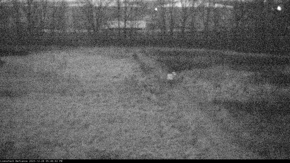 Cell 3 to 4_23-12-28_17-46-02-60