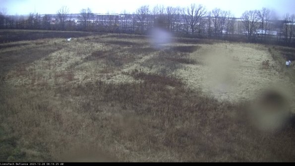 Cell 3_23-12-28_08-16-25-62