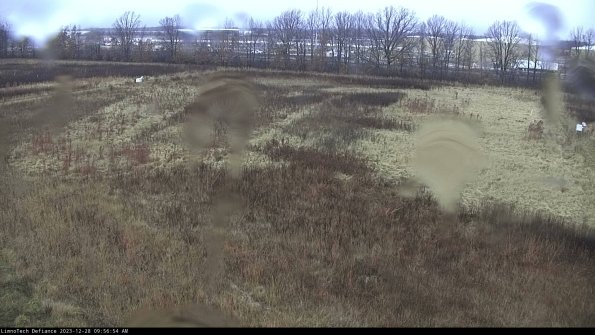 Cell 3_23-12-28_09-56-54-63