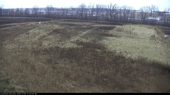 Cell 3_23-12-28_11-03-54-60