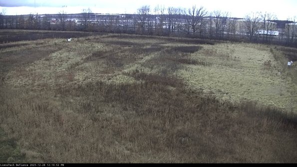 Cell 3_23-12-28_12-10-52-60