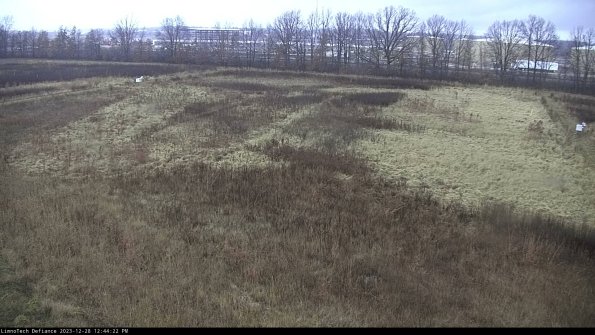 Cell 3_23-12-28_12-44-22-61