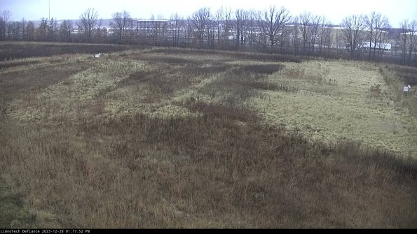 Cell 3_23-12-28_13-17-52-63