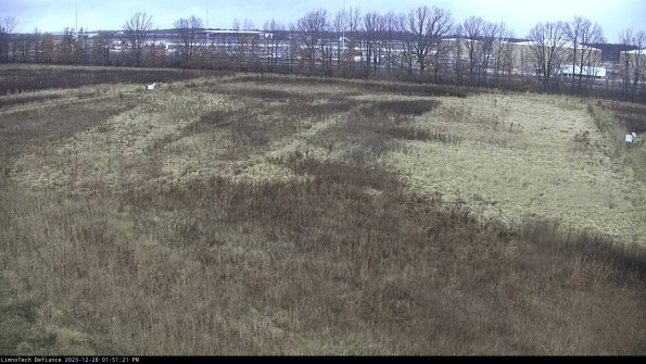 Cell 3_23-12-28_13-51-21-61