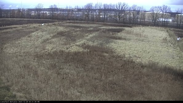 Cell 3_23-12-28_15-31-49-90