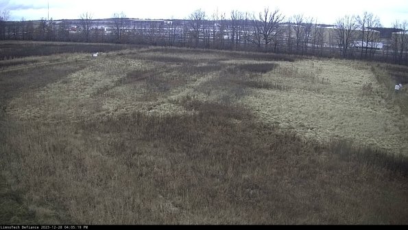 Cell 3_23-12-28_16-05-19-64