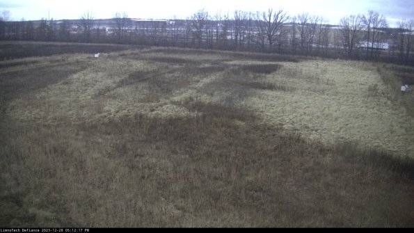 Cell 3_23-12-28_17-12-17-61