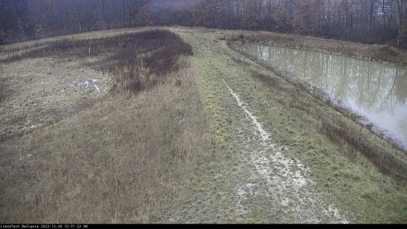 Cell 4 to Basin_23-12-28_10-31-22-61