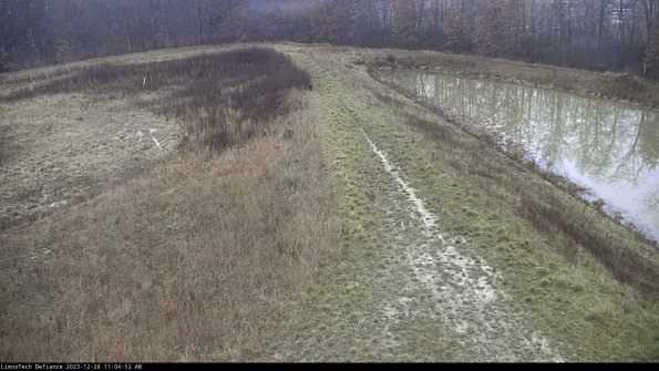 Cell 4 to Basin_23-12-28_11-04-52-63