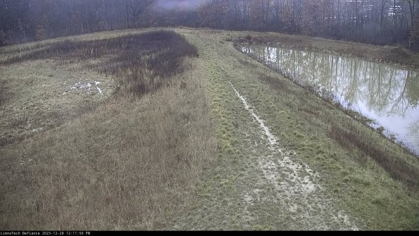 Cell 4 to Basin_23-12-28_12-11-50-62