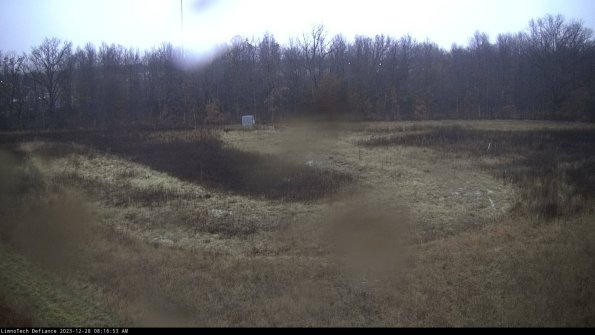 Cell 4_23-12-28_08-16-53-62